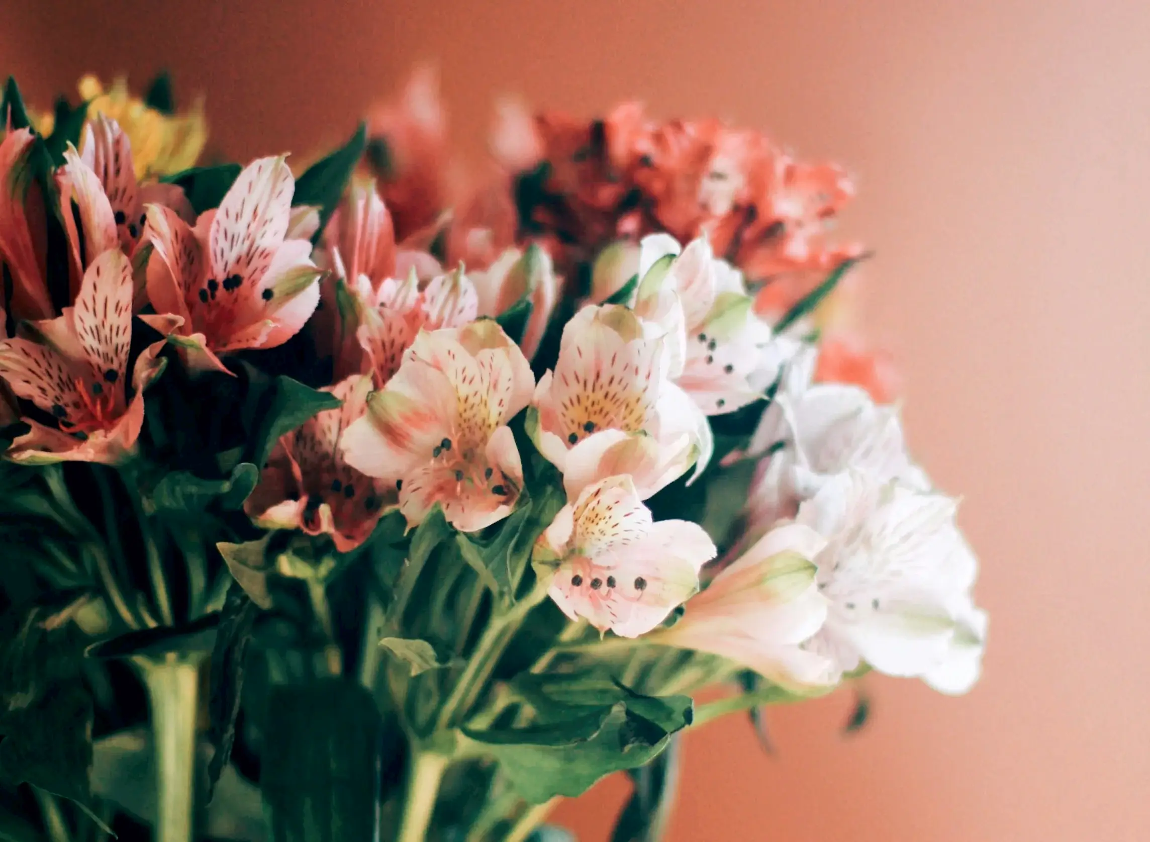 Anniversary Flowers & Gifts