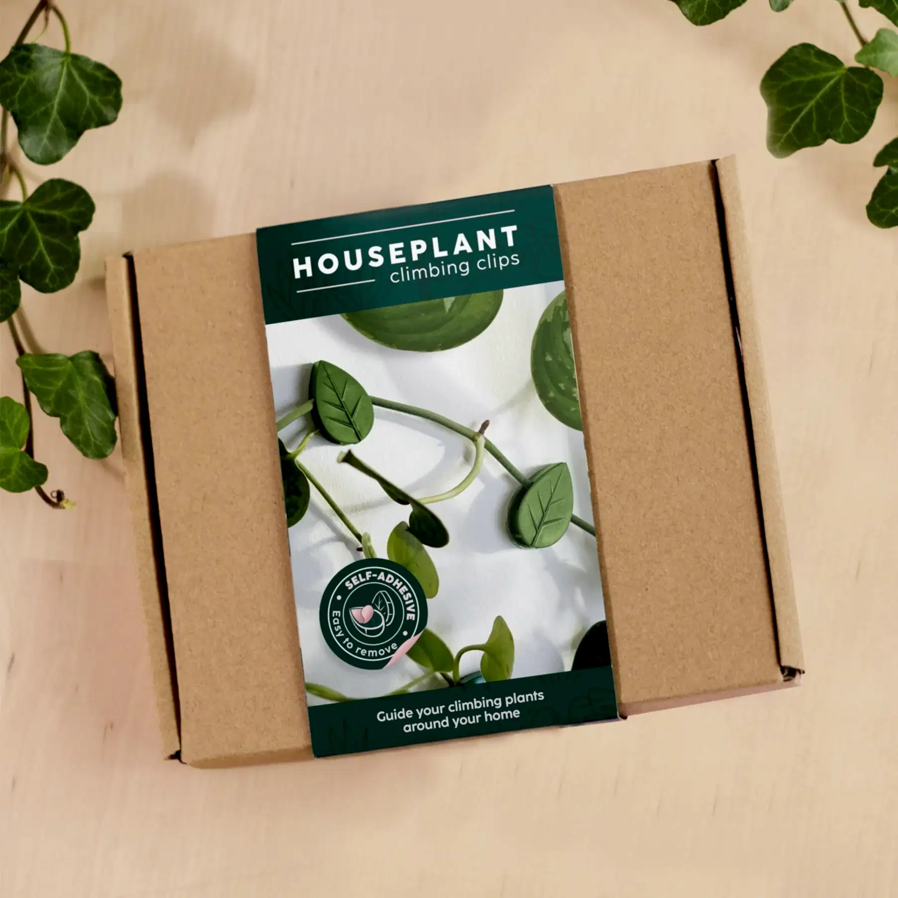 Houseplant Climbing Clips