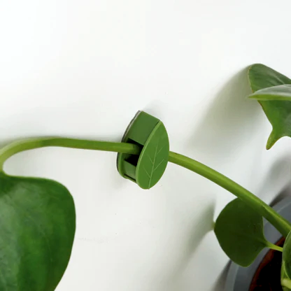 Houseplant Climbing Clips