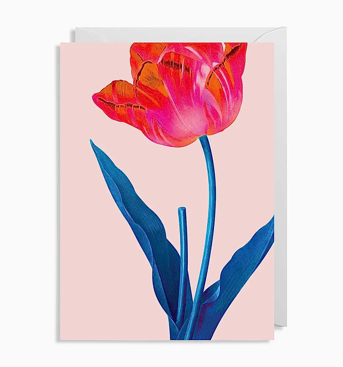 Tulip Floral Card