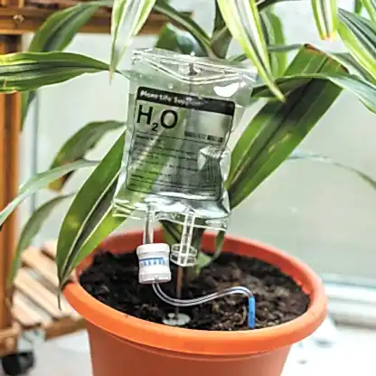 Plant Life Support Houseplant Watering Device