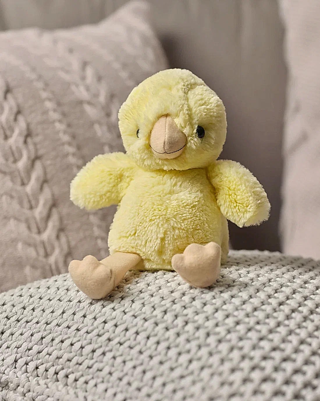 Chuck Egg Chick
