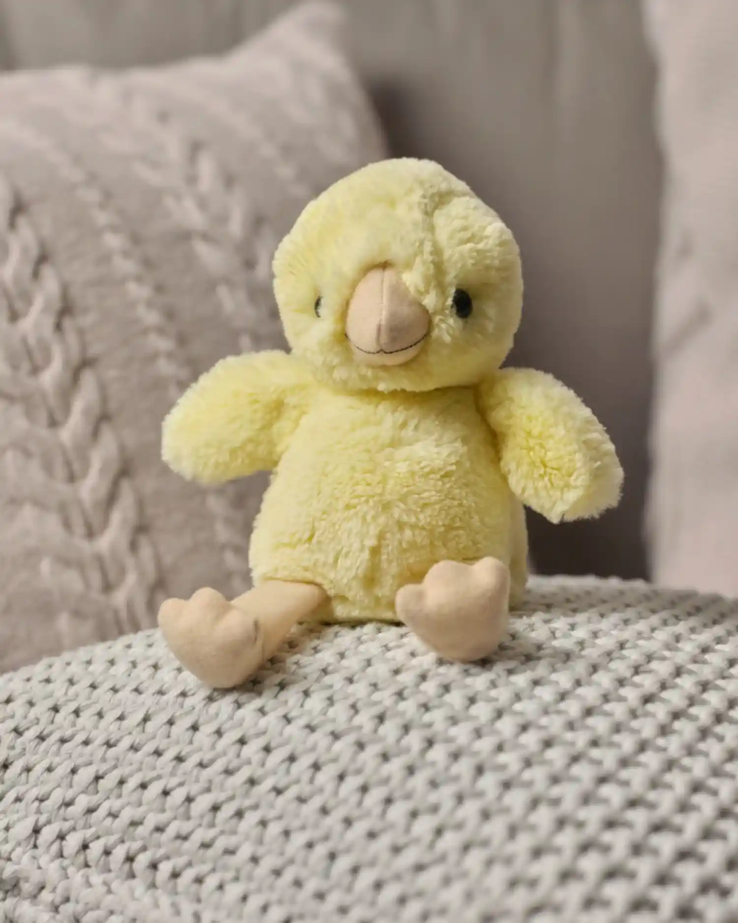 Chuck Egg Chick