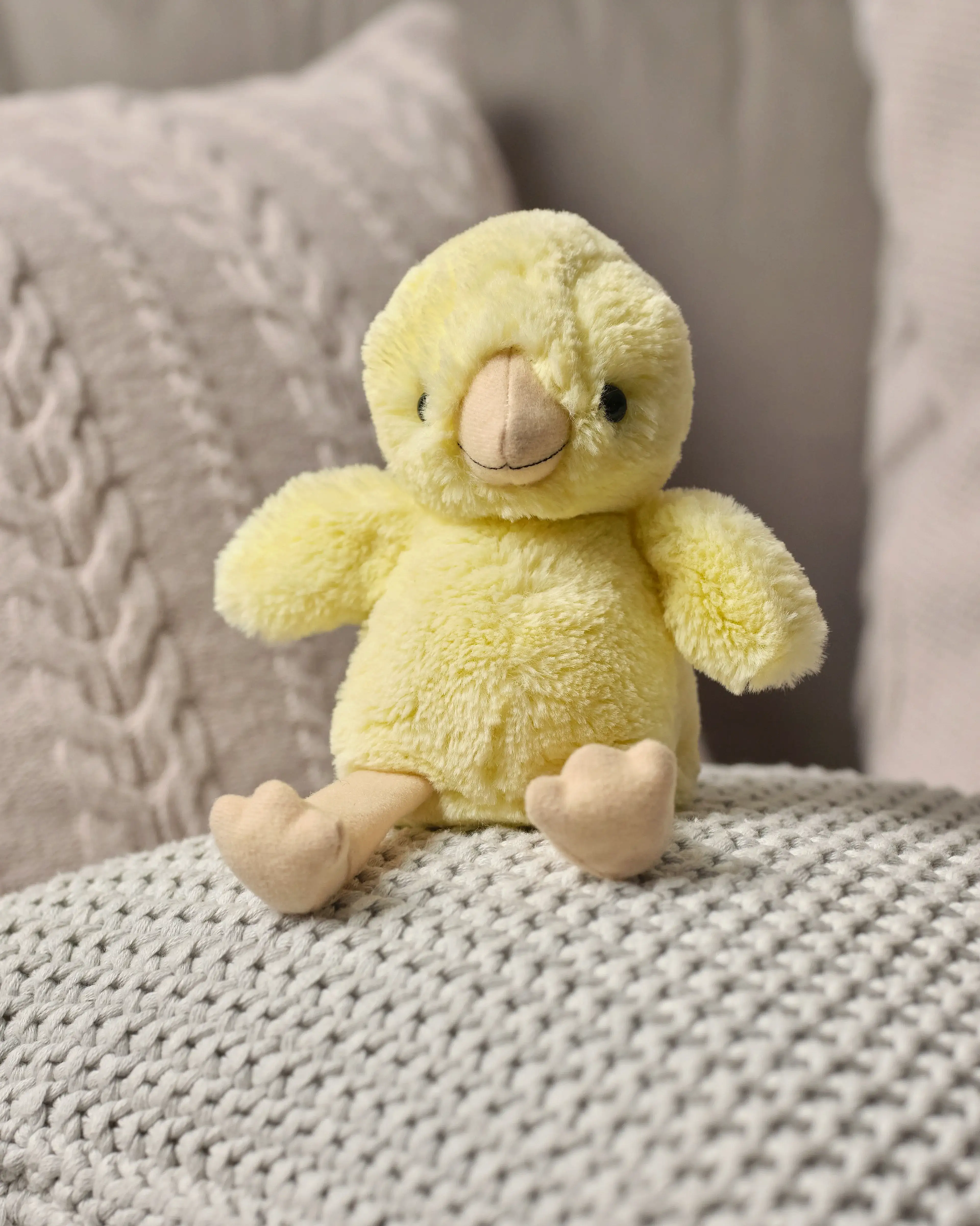 Chuck Egg Chick