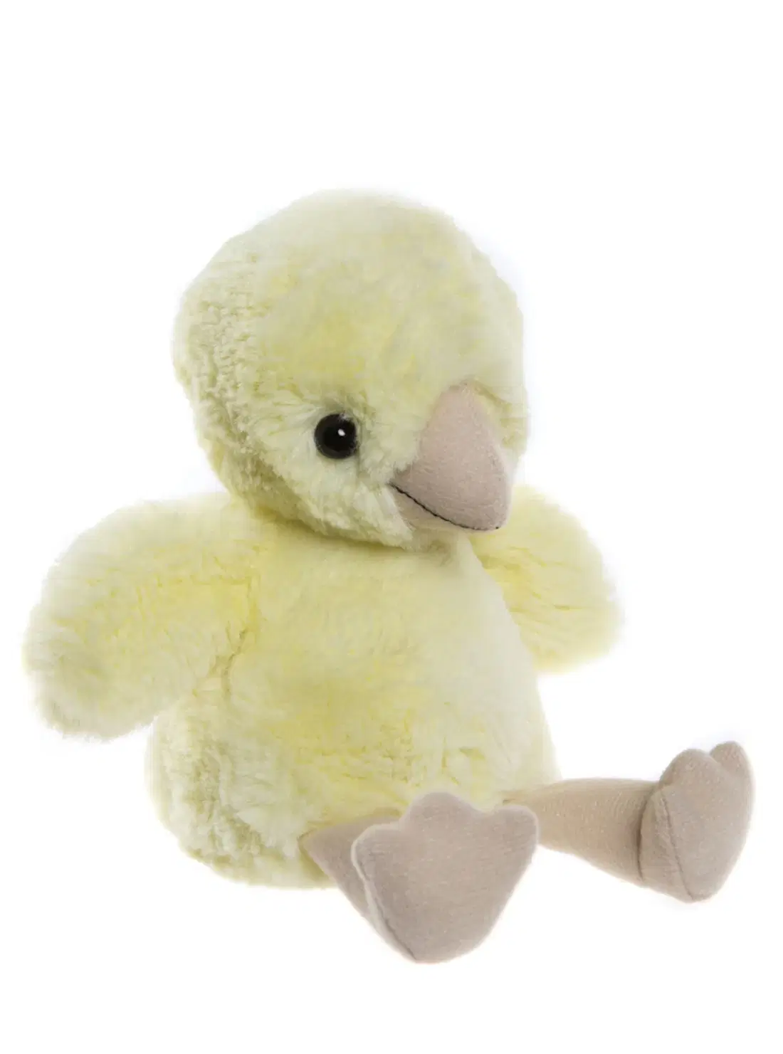 Chuck Egg Chick