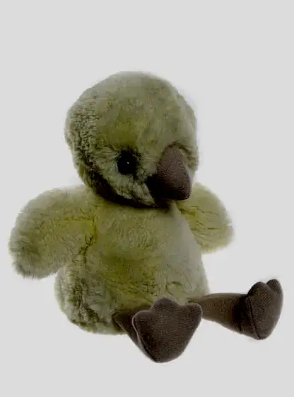 Chuck Egg Chick