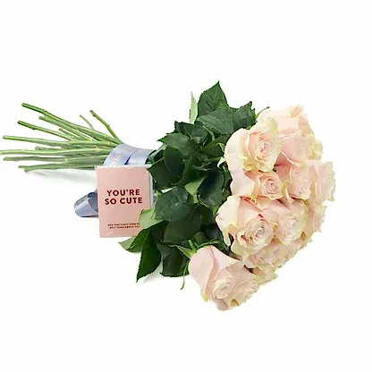 Pink Mondial Roses