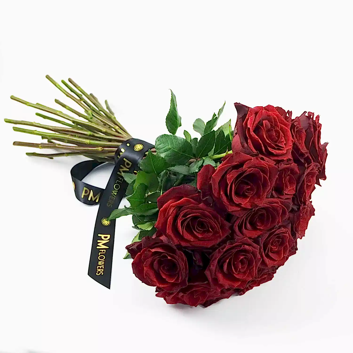 Red Explorer Roses