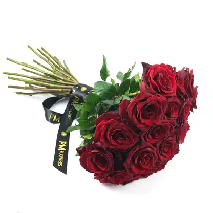 Red Explorer Roses