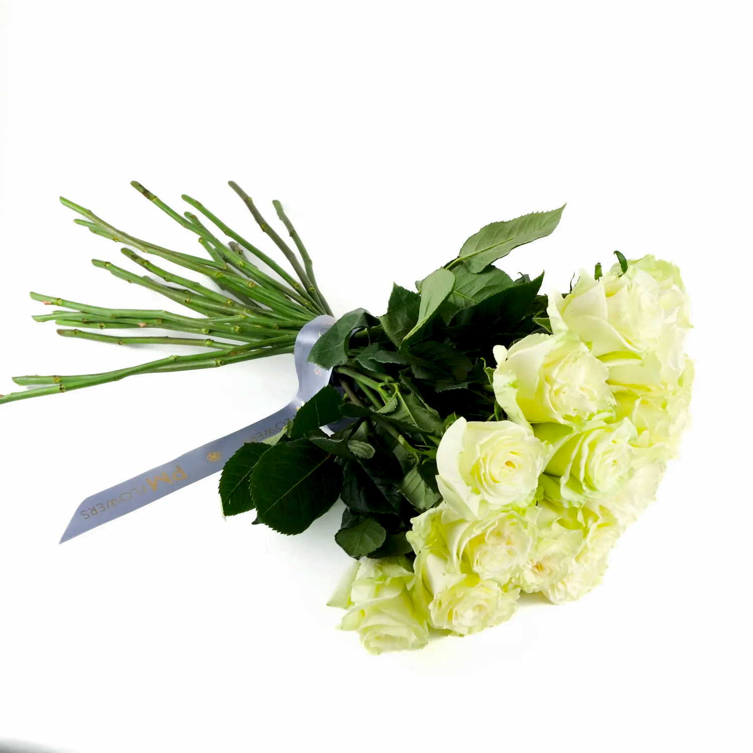 White Mondial Roses