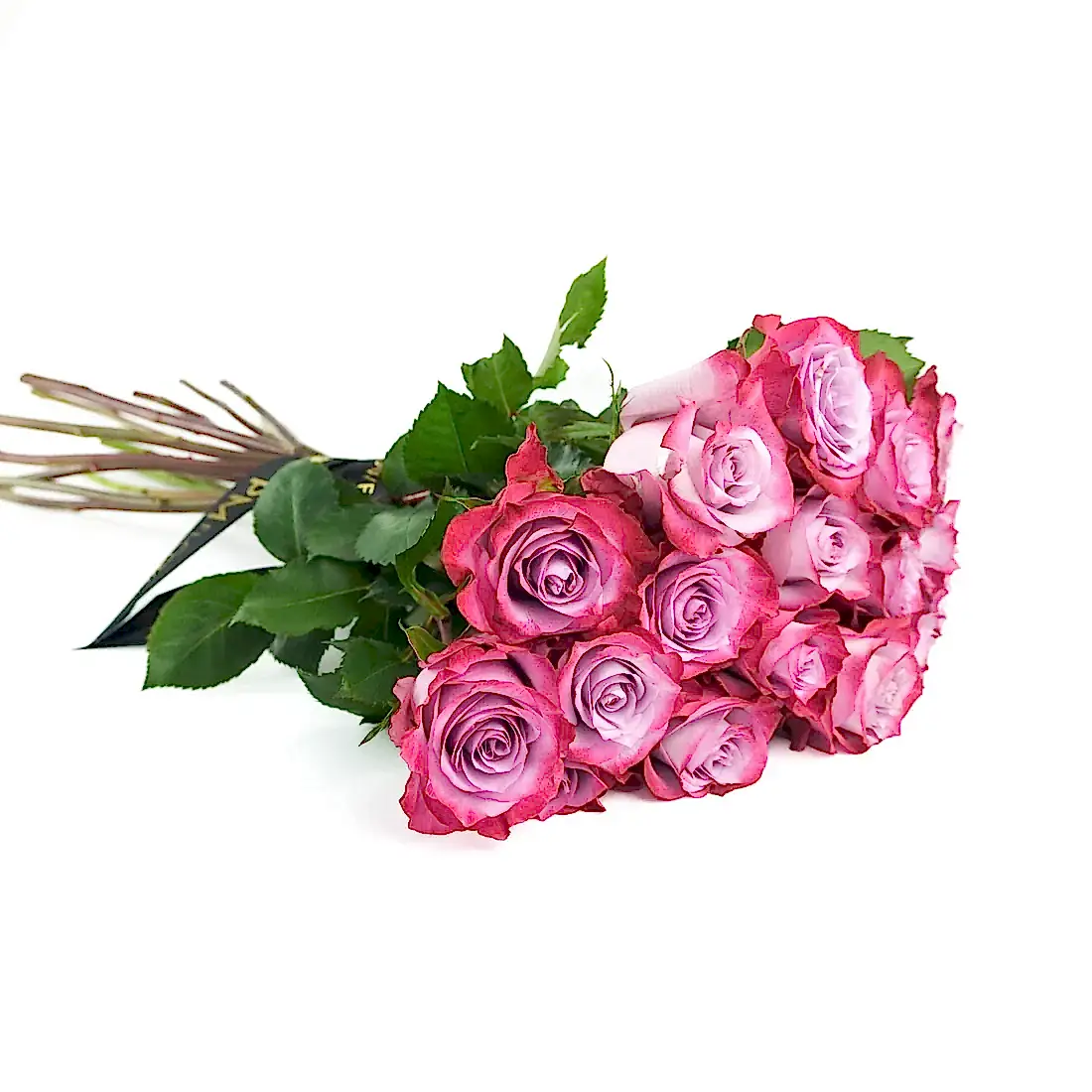 Deep Purple Roses