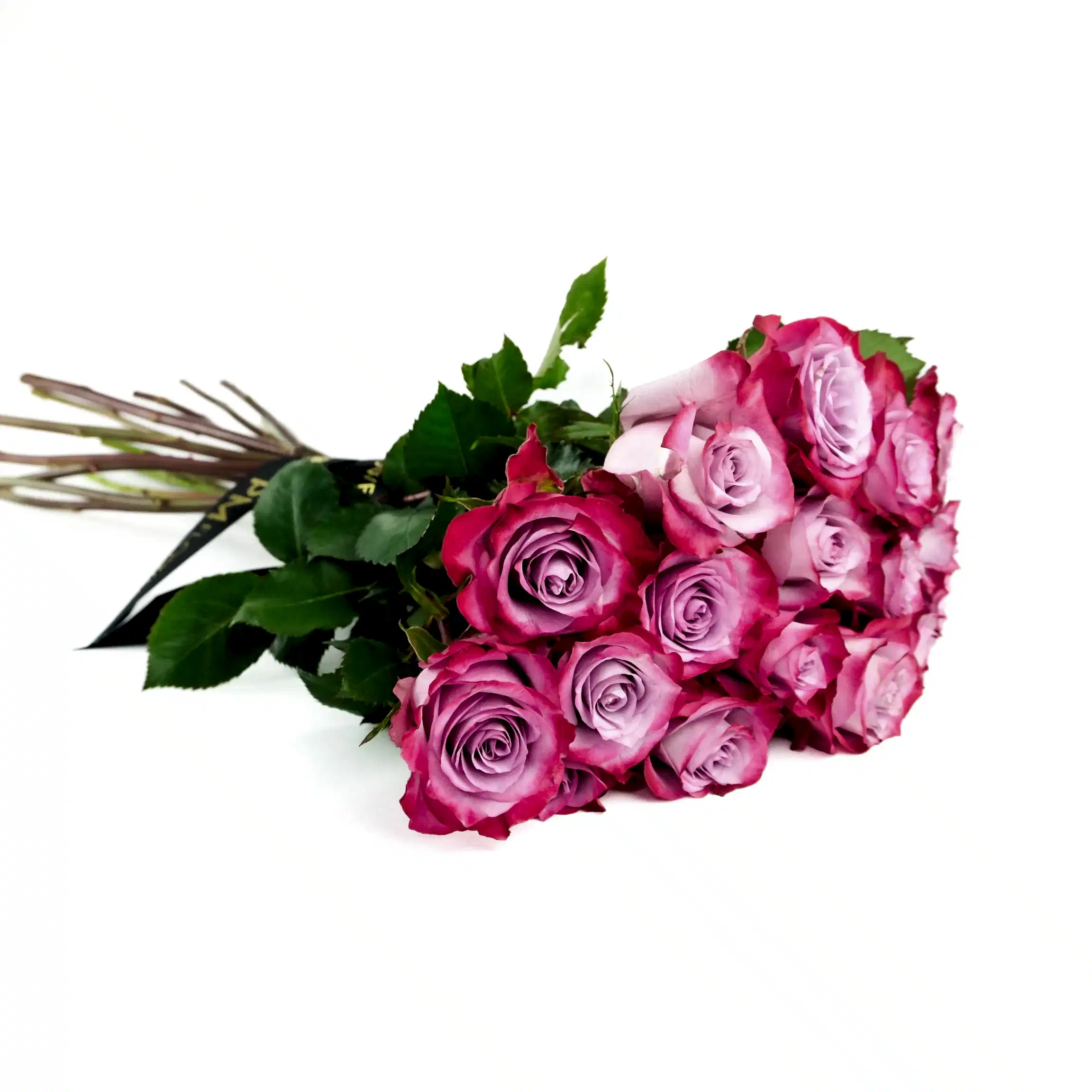 Deep Purple Roses
