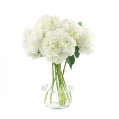 White Hydrangeas