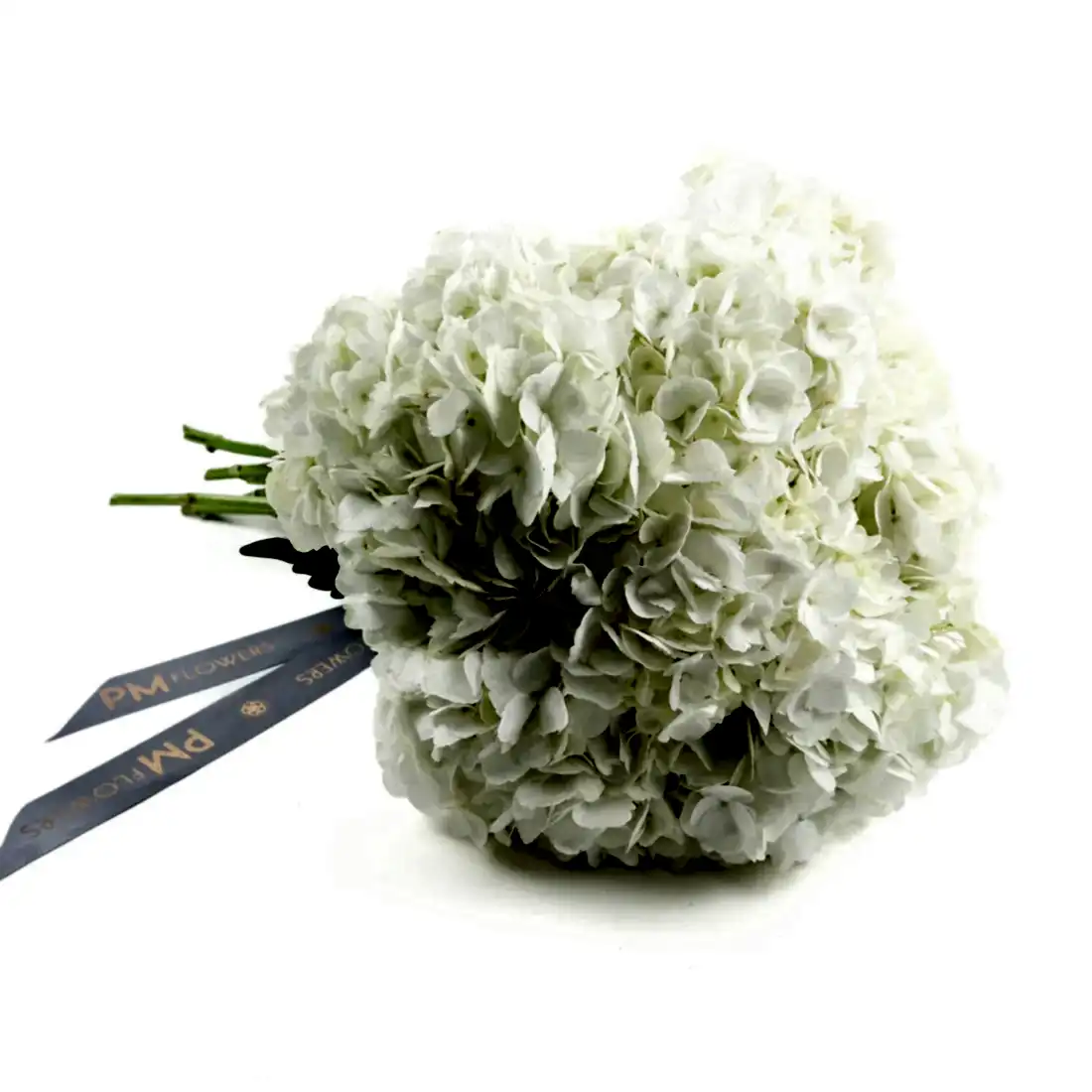 White Hydrangeas