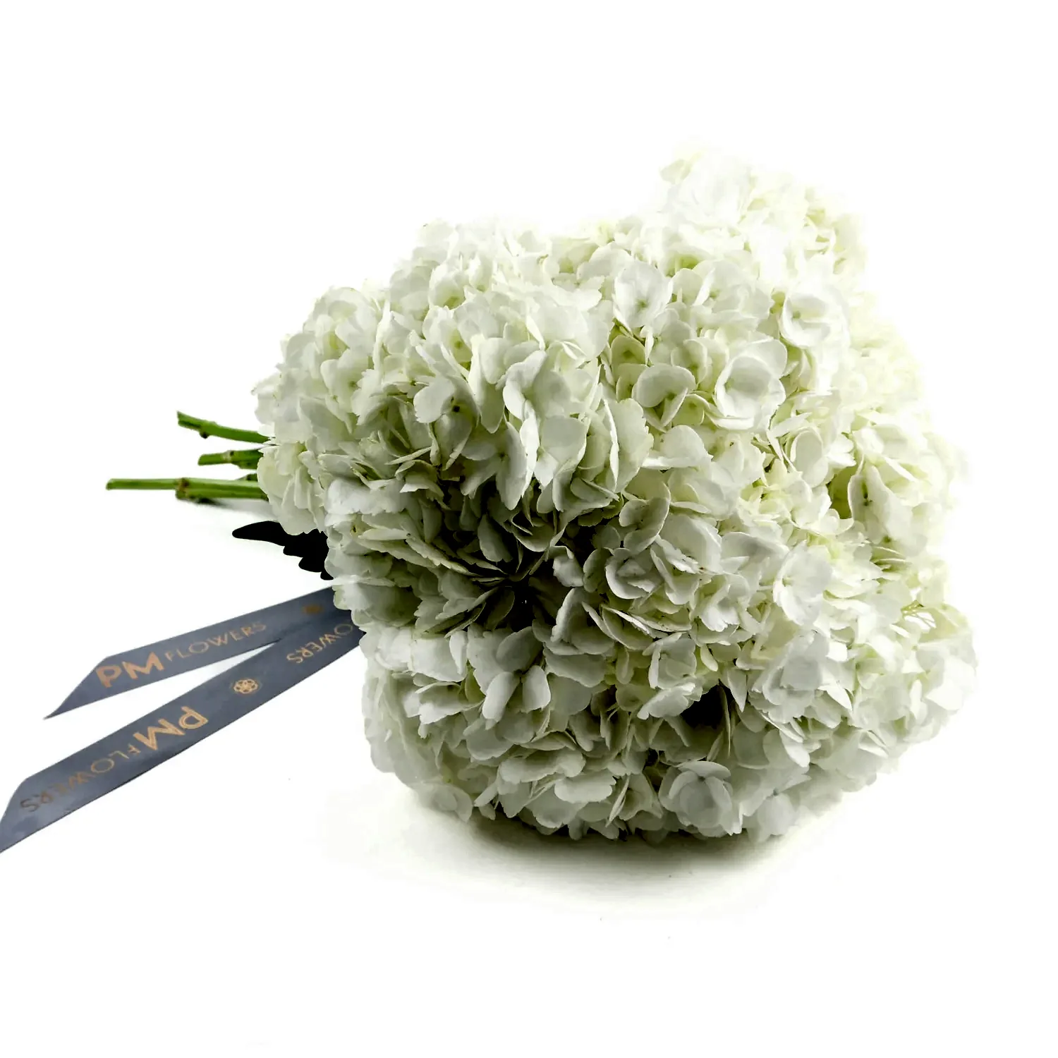 White Hydrangeas