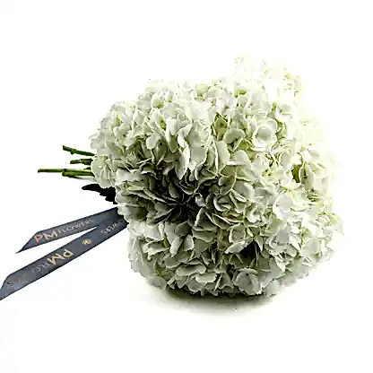 White Hydrangeas