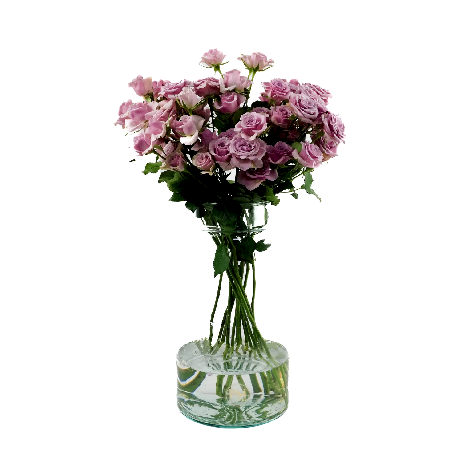 Leila Spray Roses