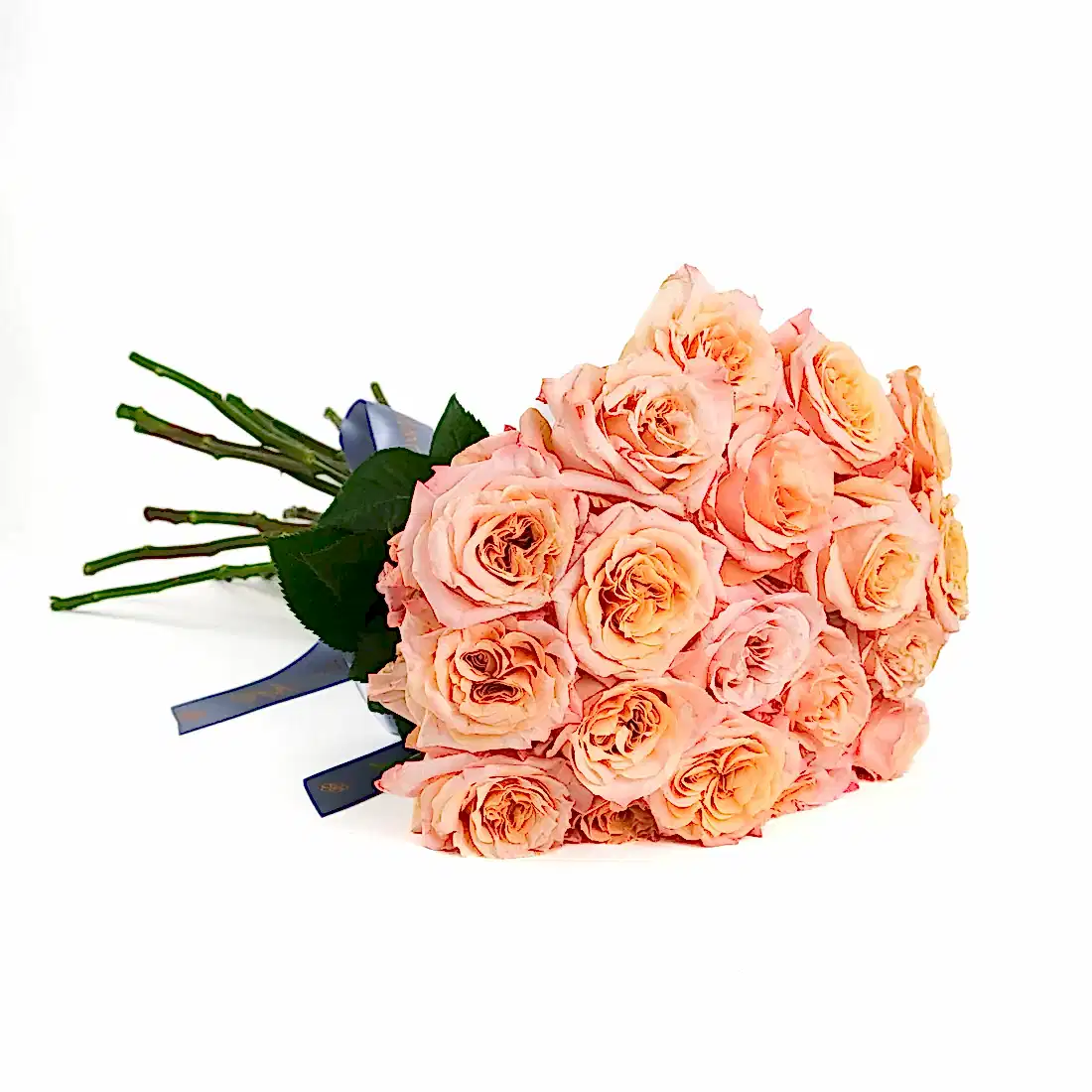 Shimmer Roses