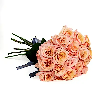 Shimmer Roses
