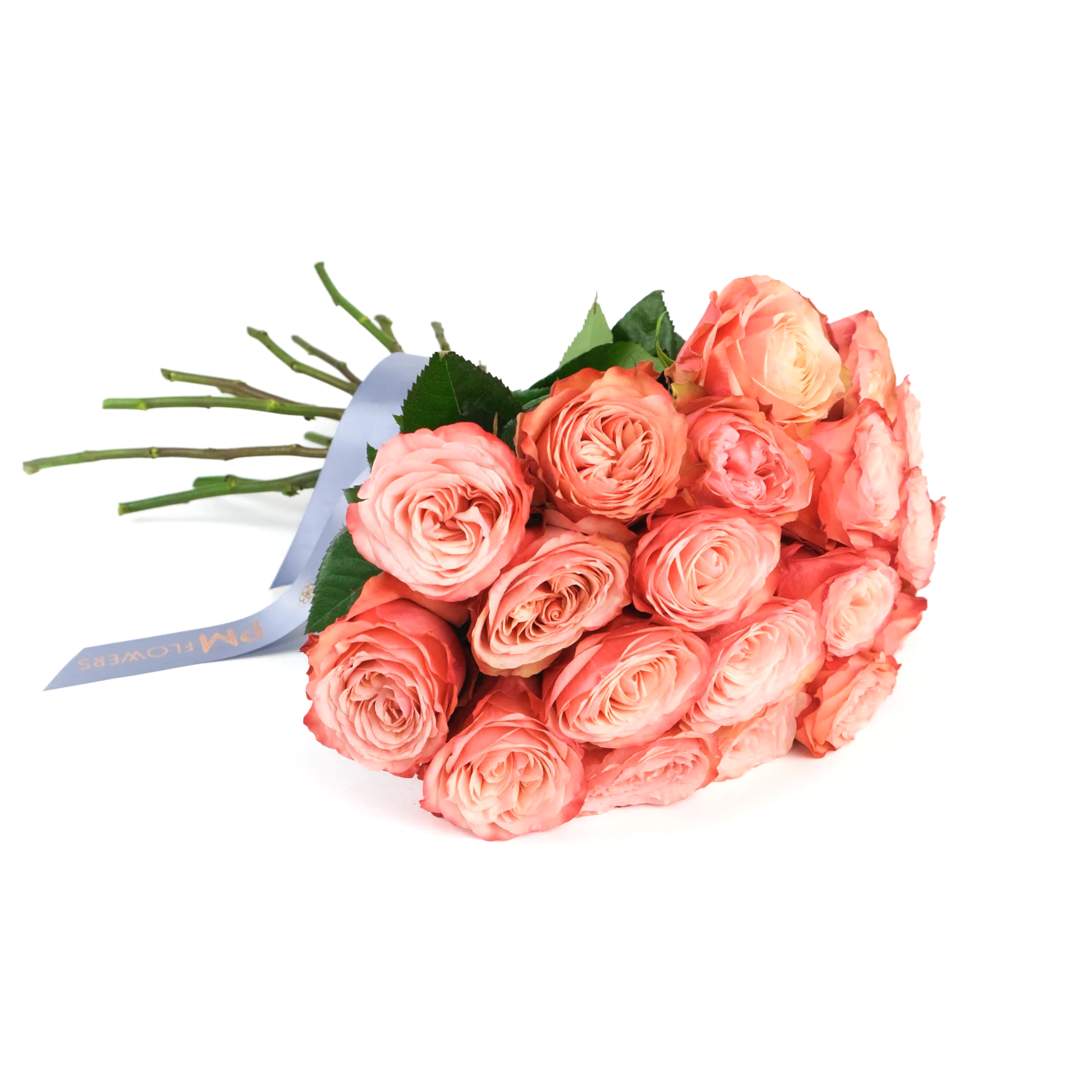 Kahala Roses