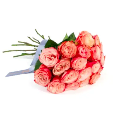 Kahala Roses