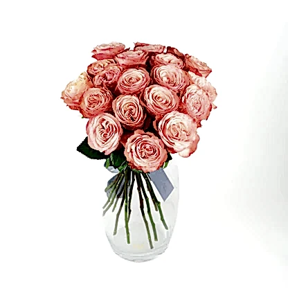 Kahala Roses