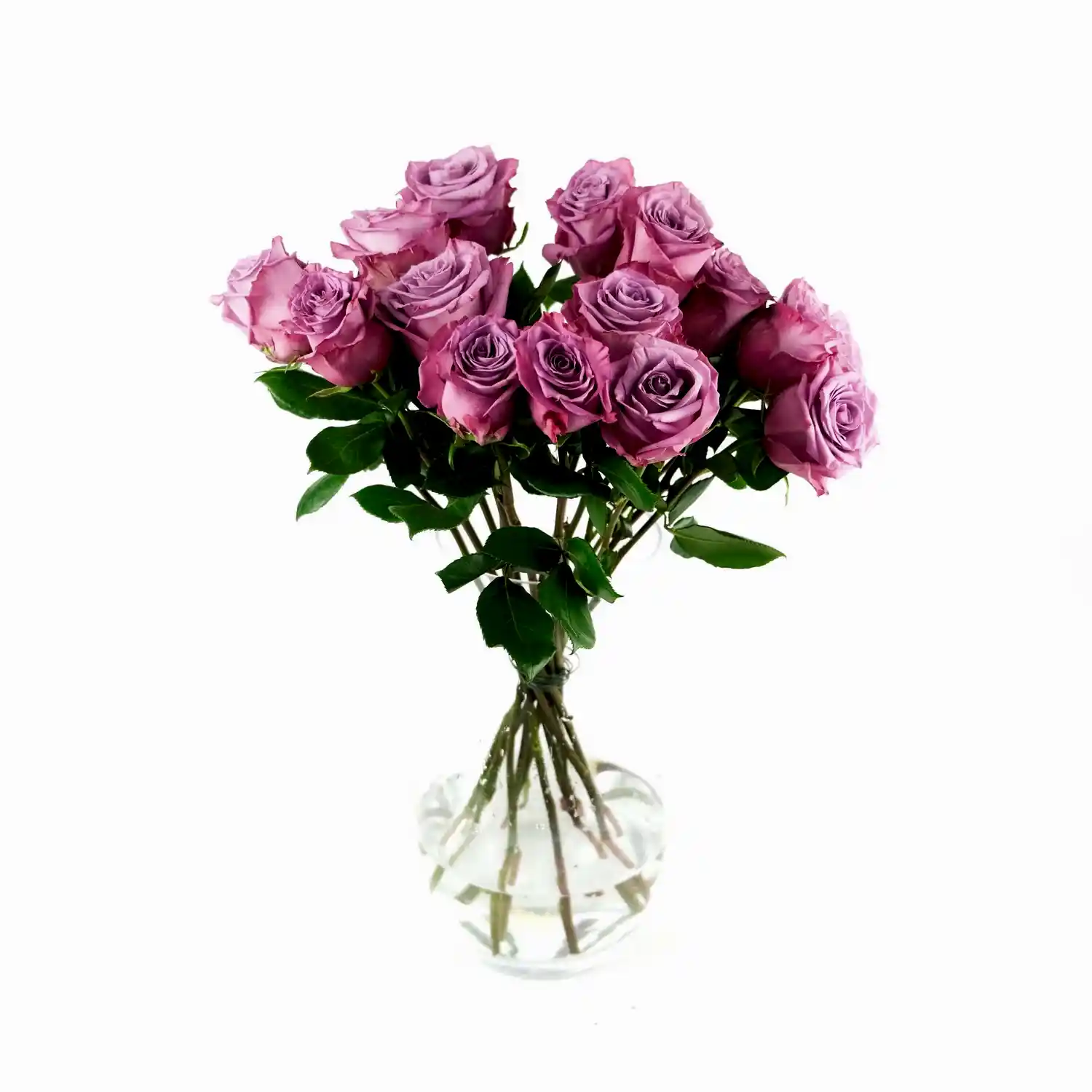 Moody Blue Roses