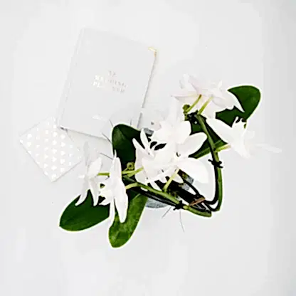 Orchid Engagement Gift Set