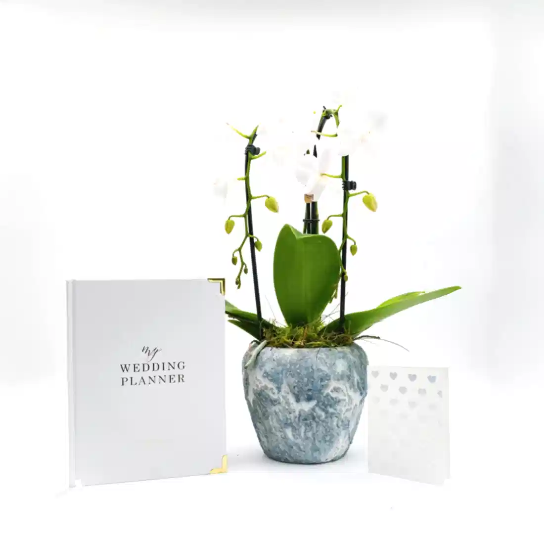 Orchid Engagement Gift Set