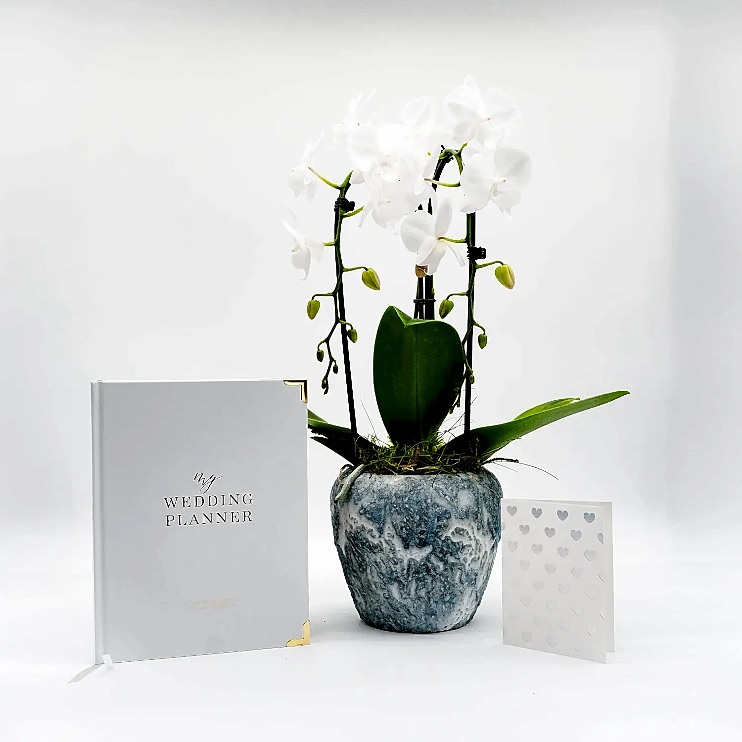 Orchid Engagement Gift Set