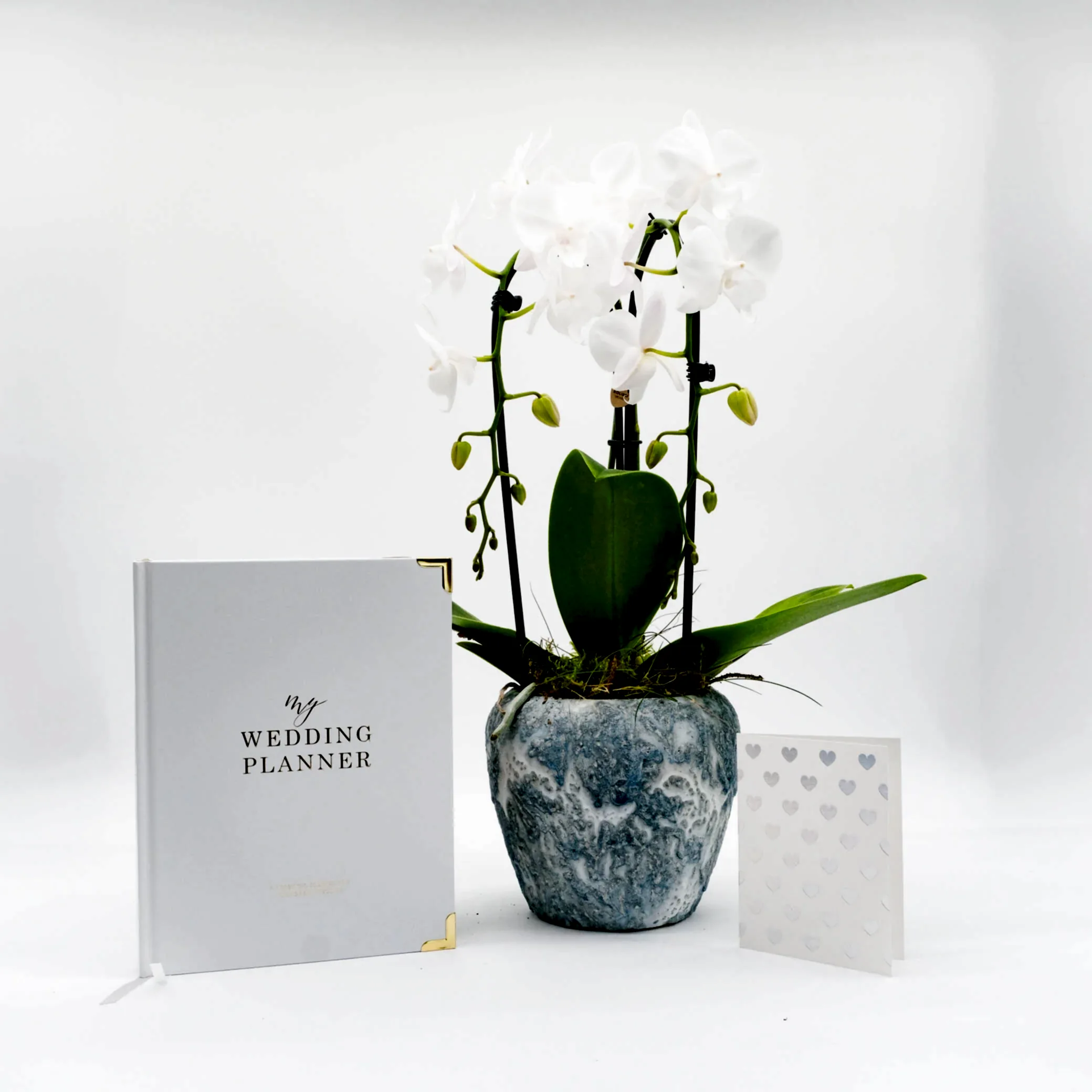 Orchid Engagement Gift Set