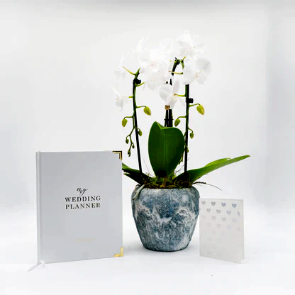 Orchid Engagement Gift Set