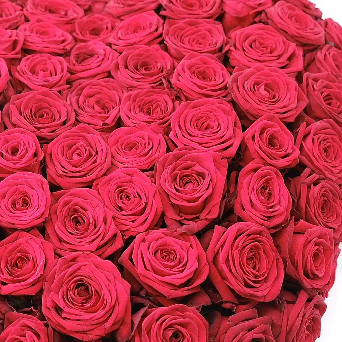 The Red Heart