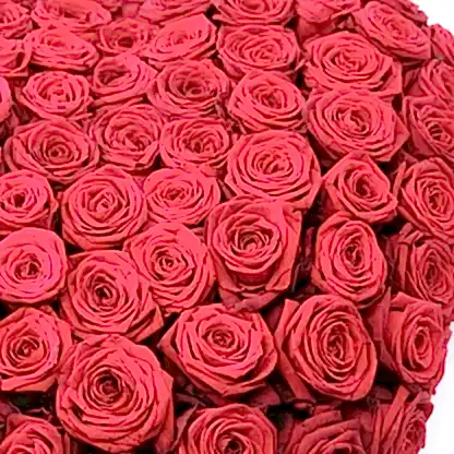 The Red Heart