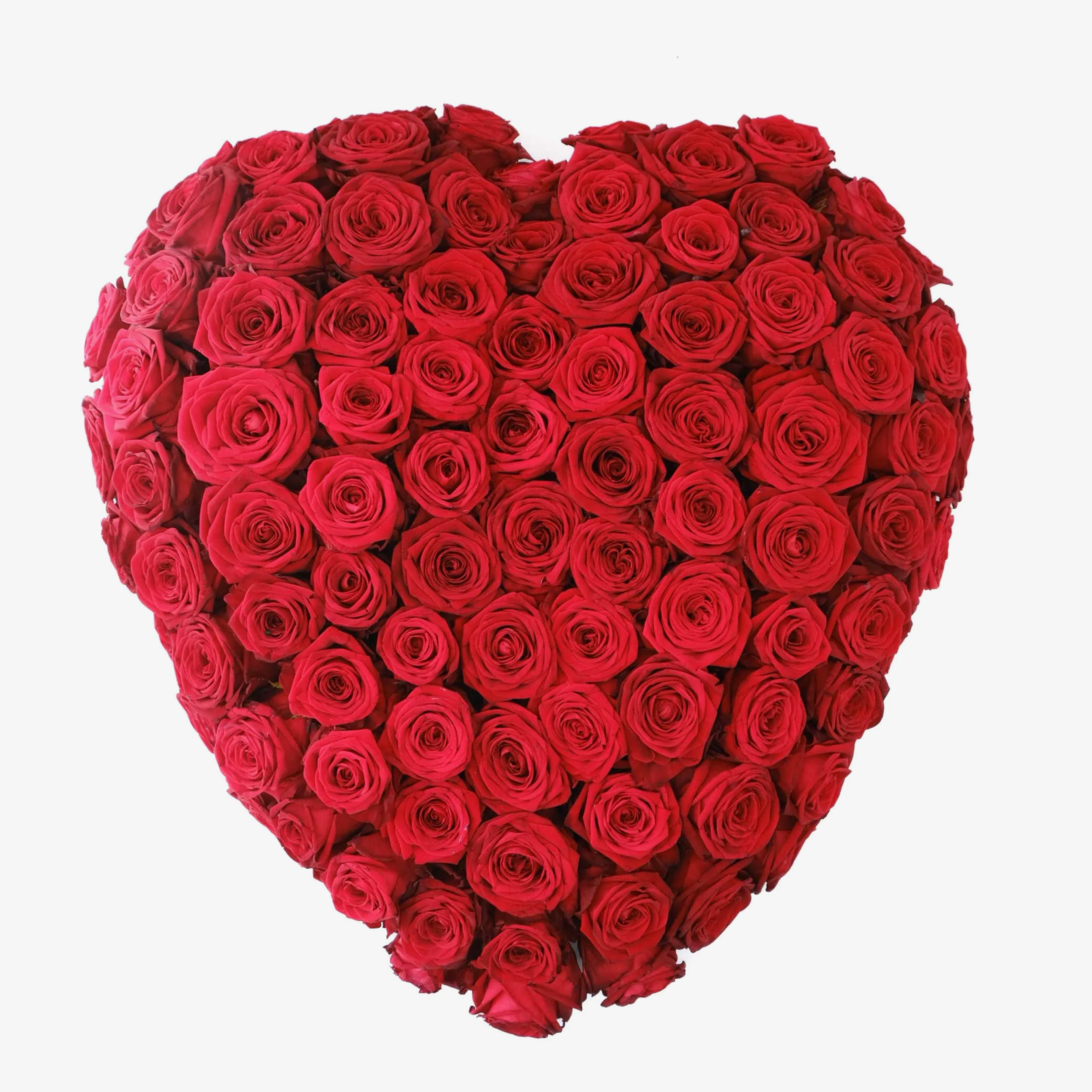 The Red Heart