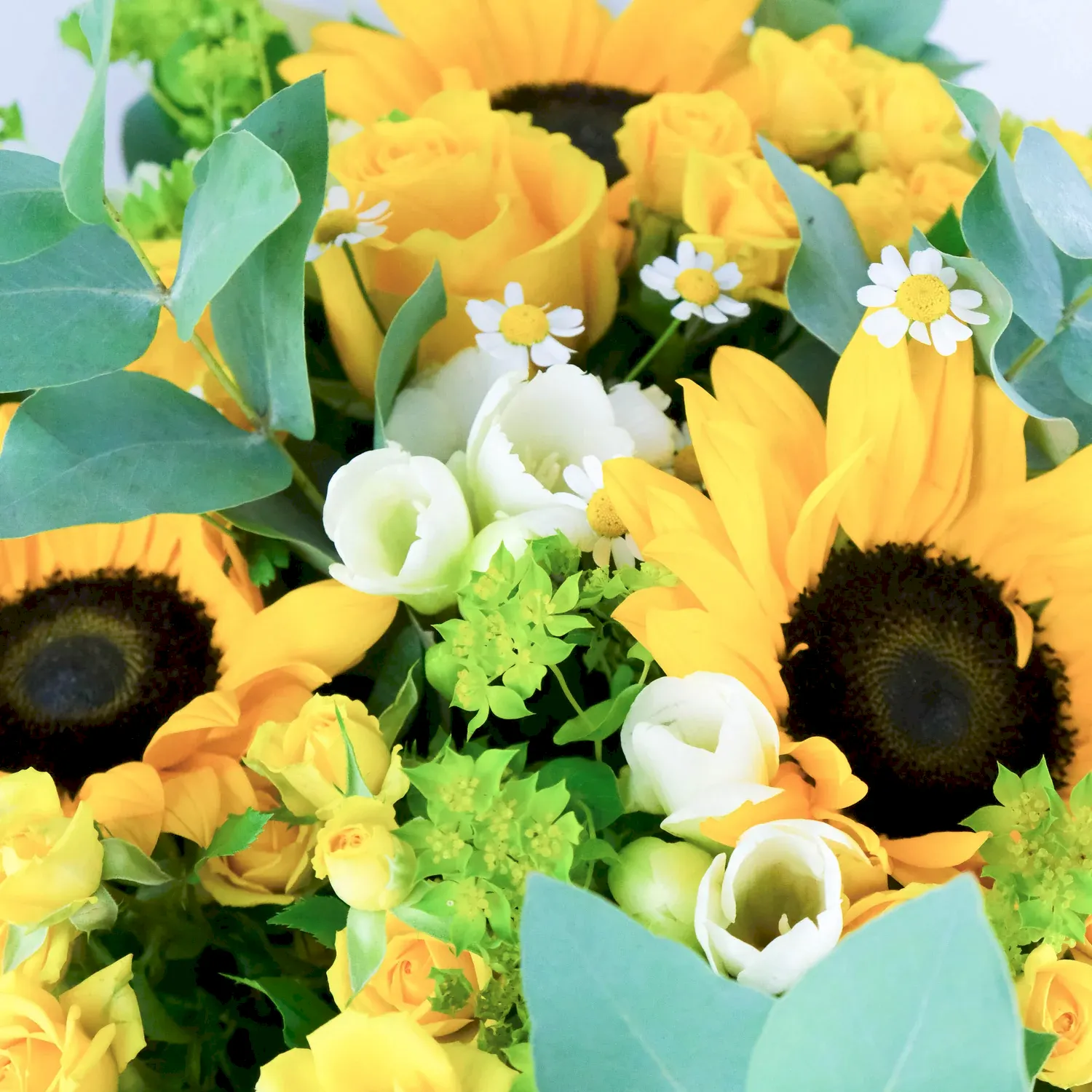 Sunny