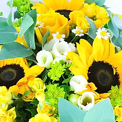 Sunny