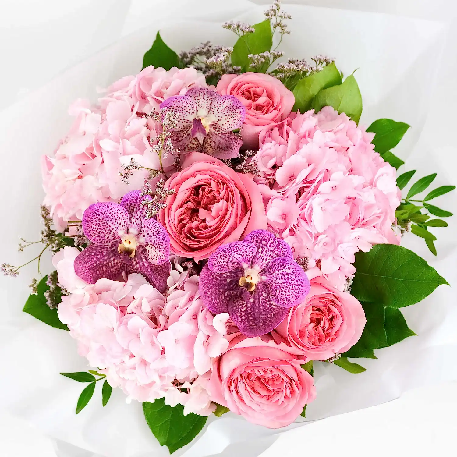 Pink Chic