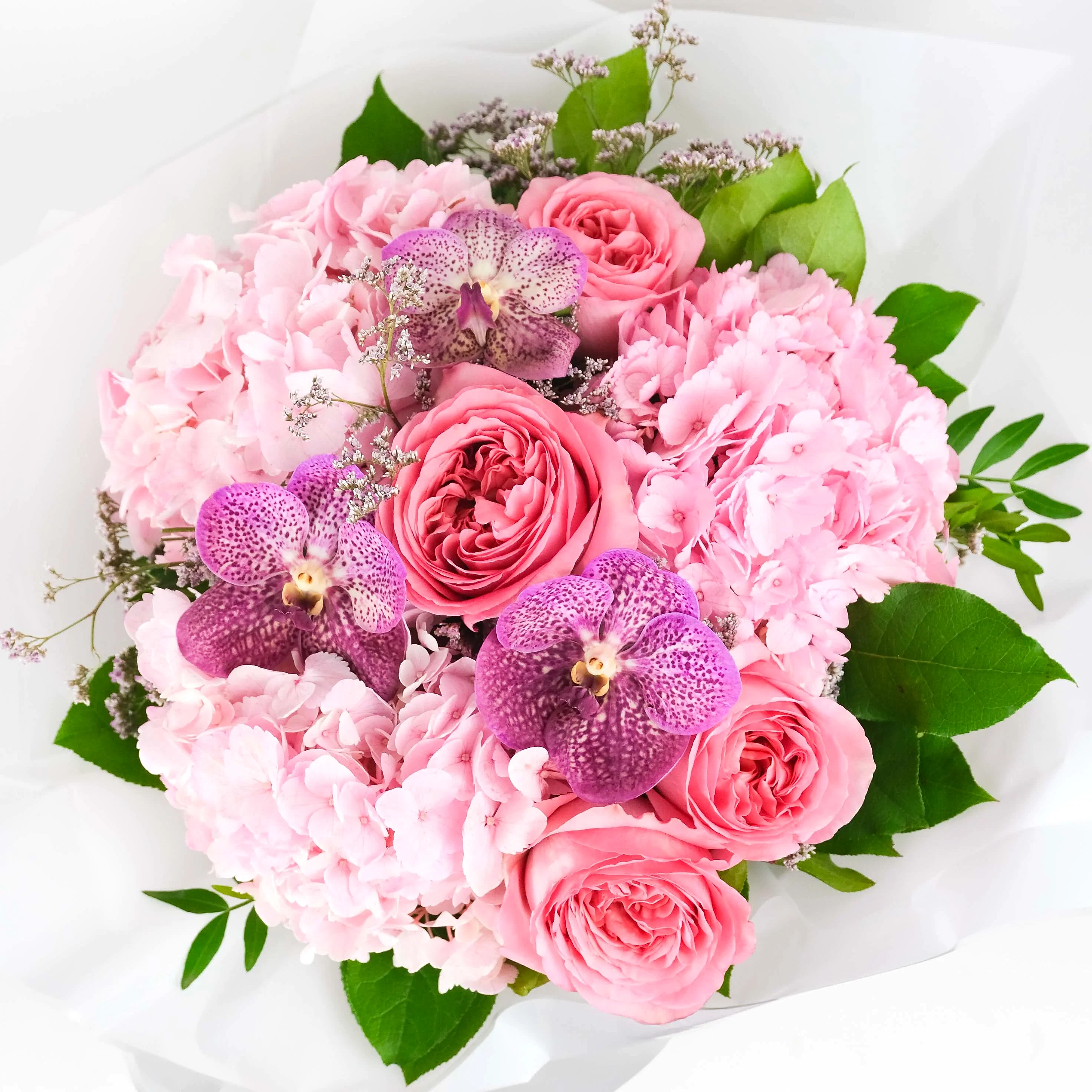 Pink Chic
