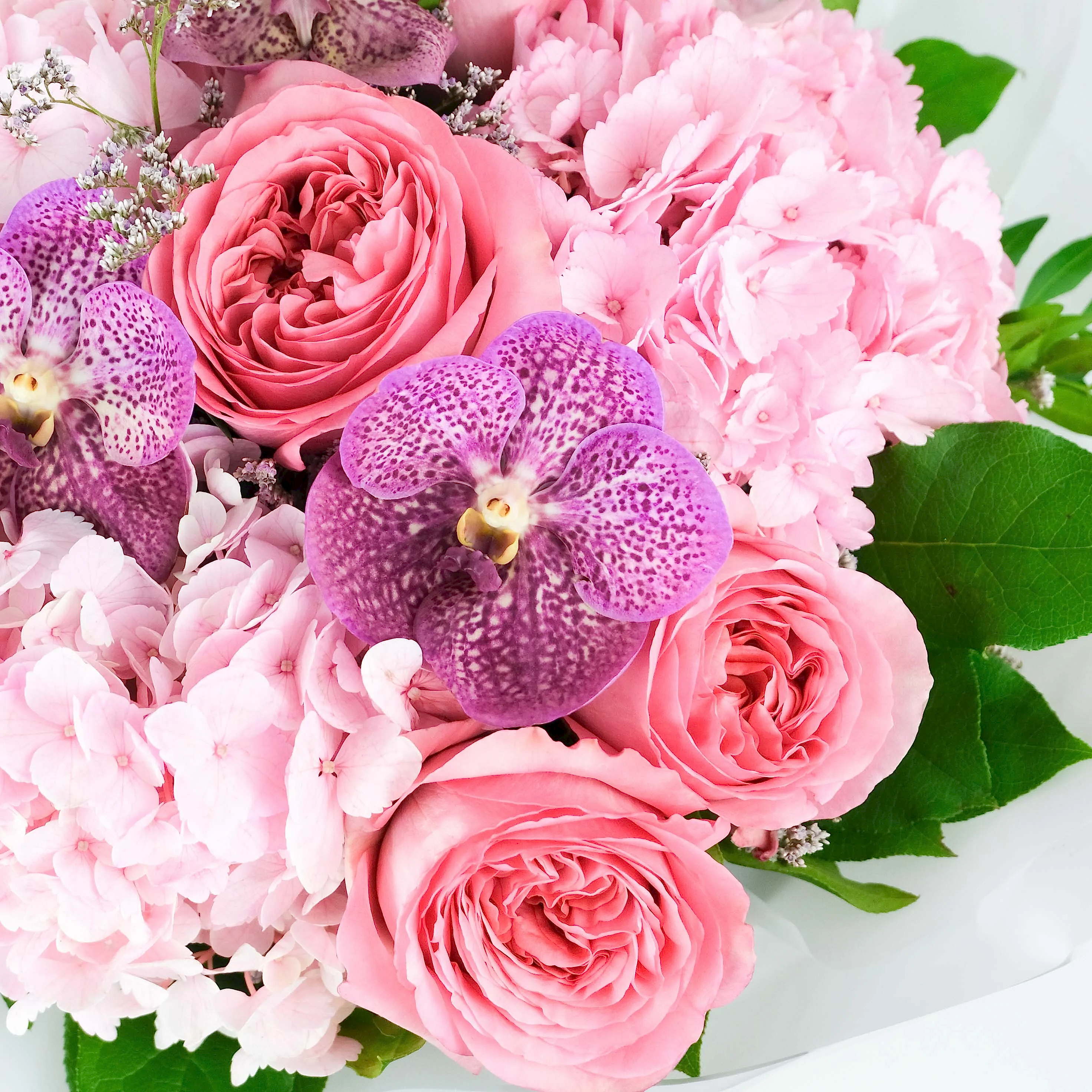 Pink Chic