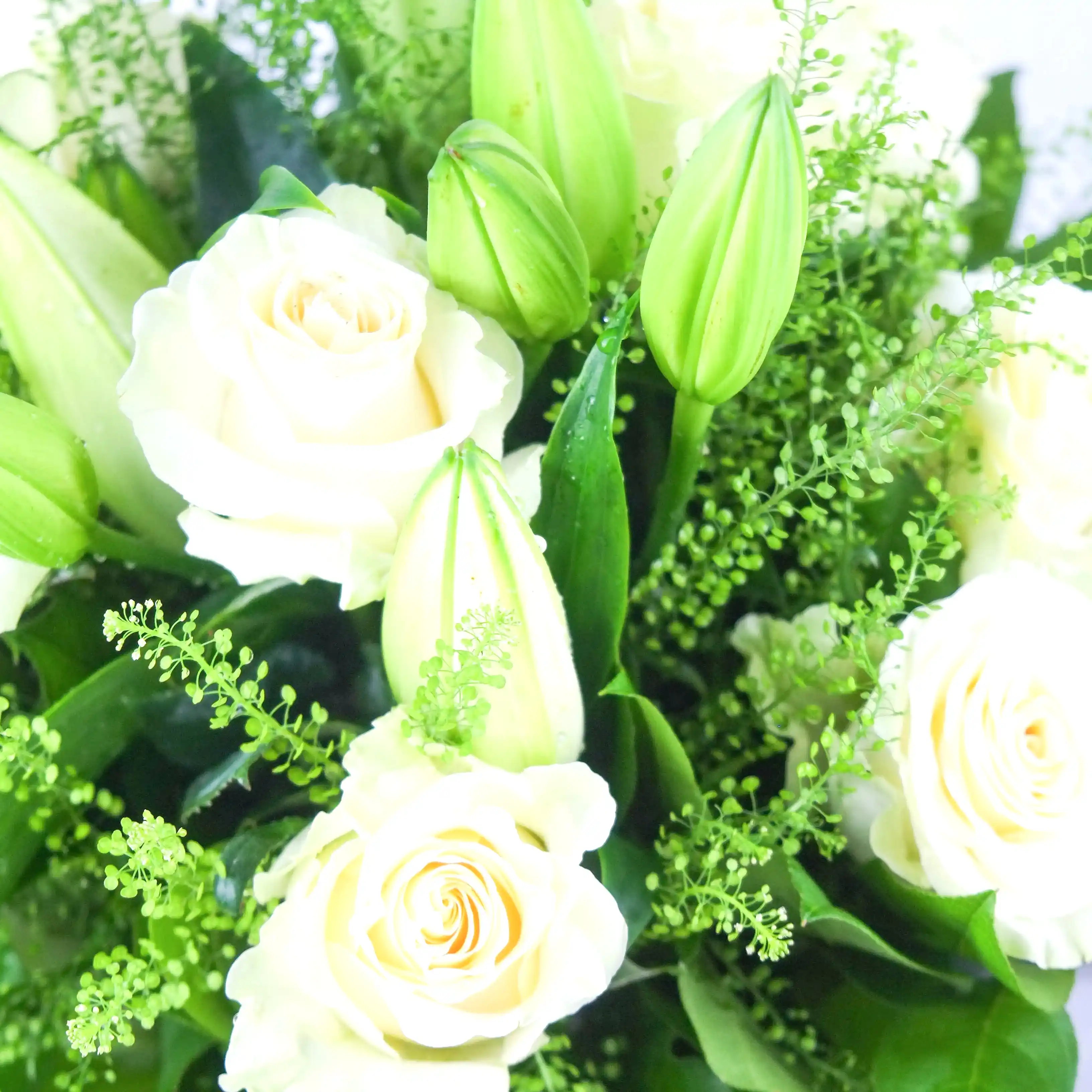 White Simplicity
