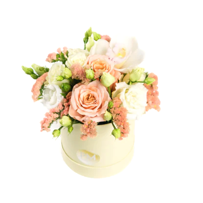 Hat Box - White &amp; Peach
