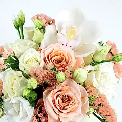 Hat Box - White &amp; Peach