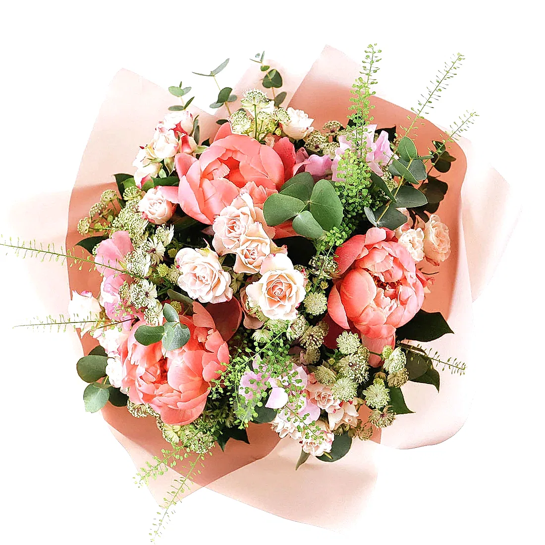 Peony Vibes