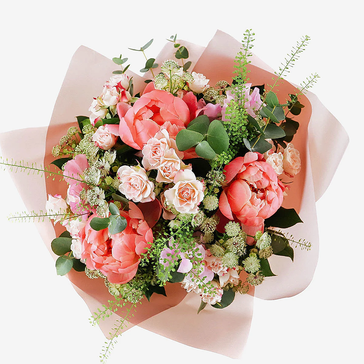 Peony Vibes