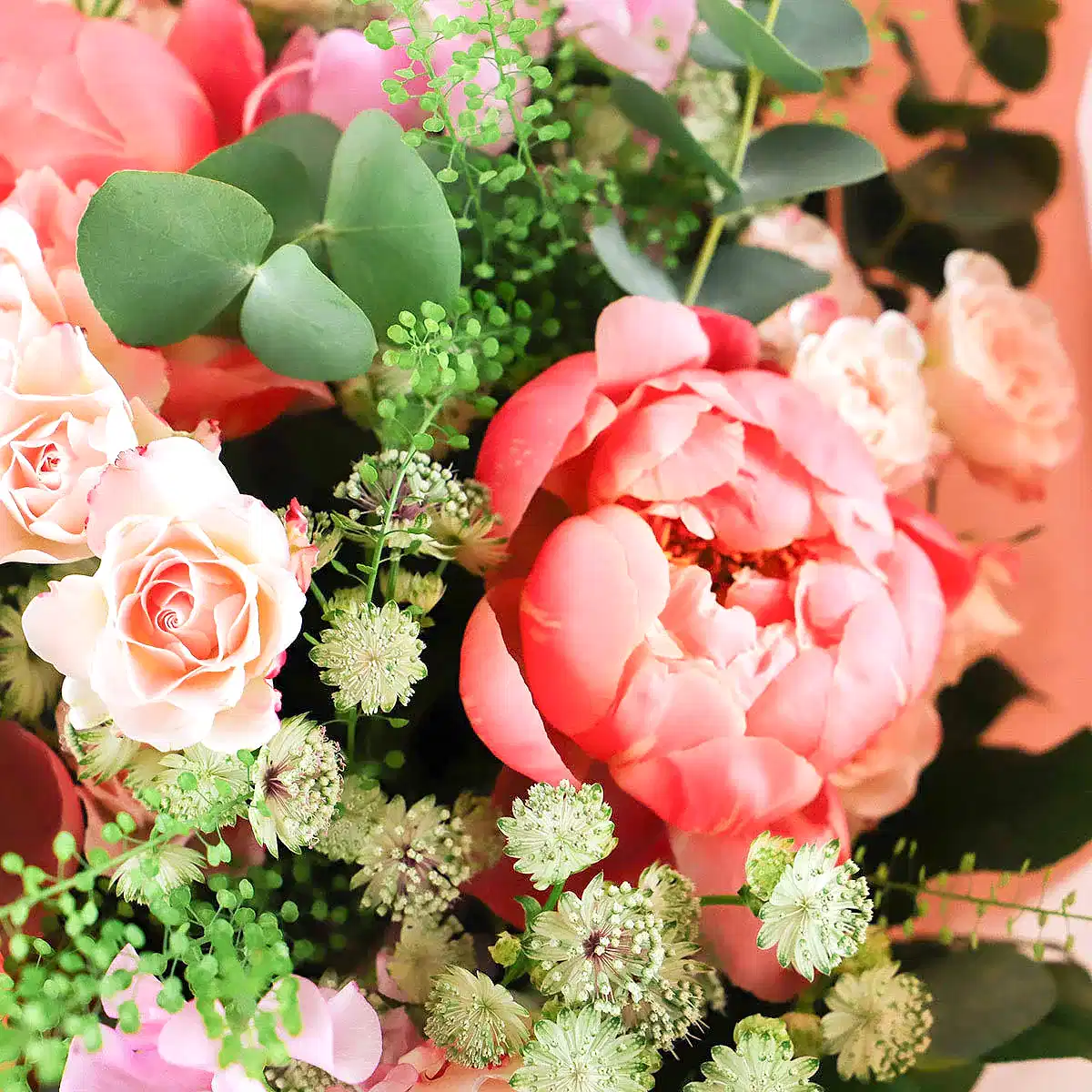 Peony Vibes