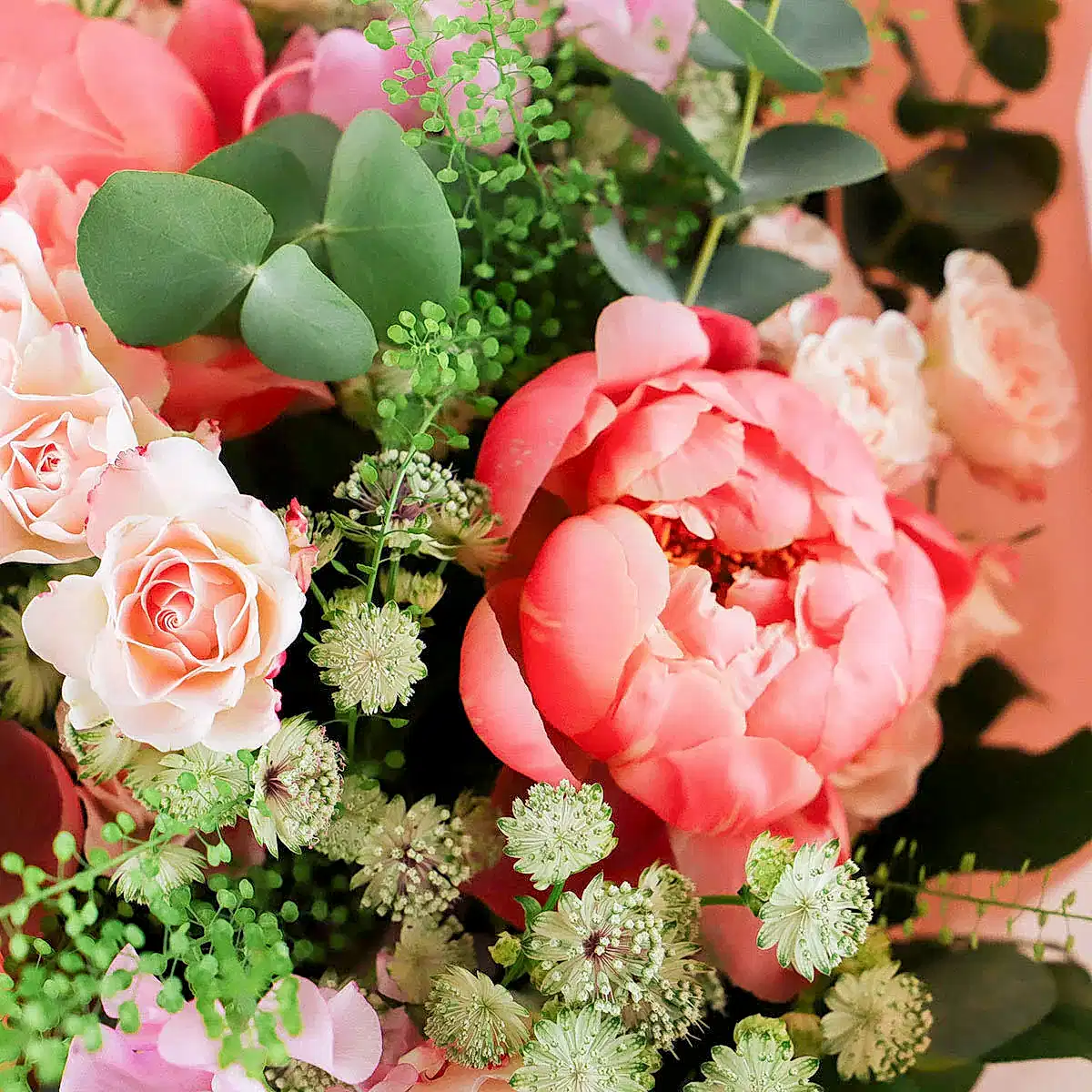 Peony Vibes