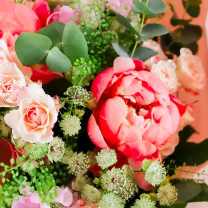 Peony Vibes